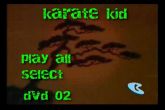 karate kid  2 dvds