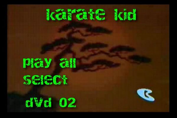 karate kid  2 dvds